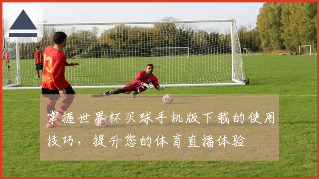 掌握世界杯买球手机版下载的使用技巧，提升您的体育直播体验