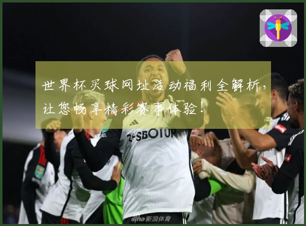 世界杯买球网址活动福利全解析，让您畅享精彩赛事体验！