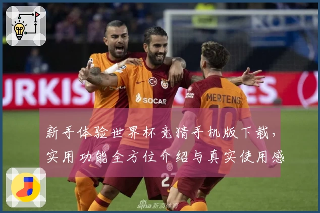 新手体验世界杯竞猜手机版下载，实用功能全方位介绍与真实使用感受